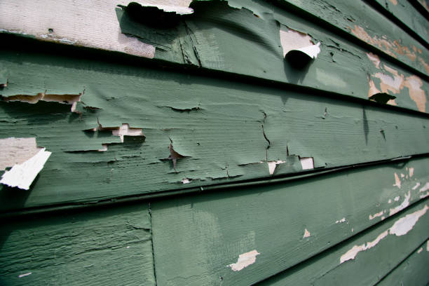 Same-Day Junk Removal Services in Brookhaven, PA